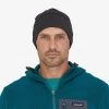 Patagonia BEANIE R1 DAILY
