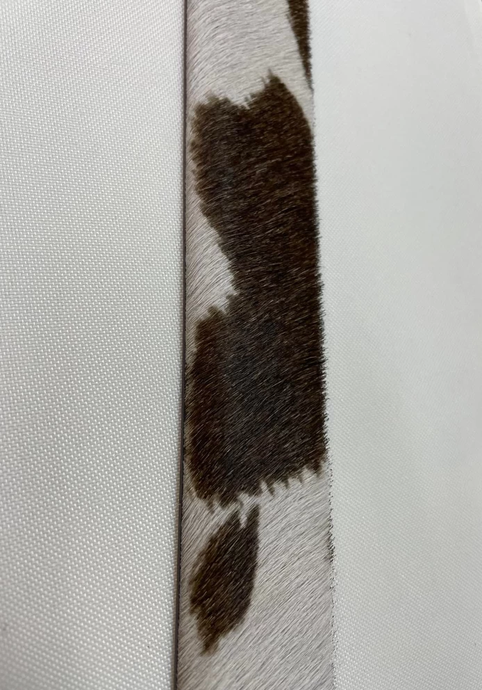 CEINTURE – Image 3