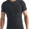 Icebreaker T-SHIRT ANATOMICA